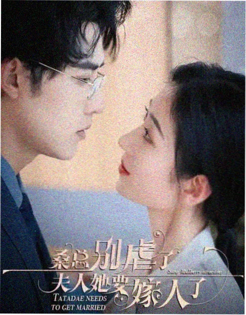 玫瑰档案 都市剧