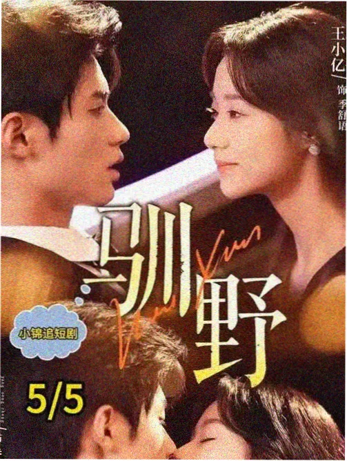 长街灯火 生活流剧集